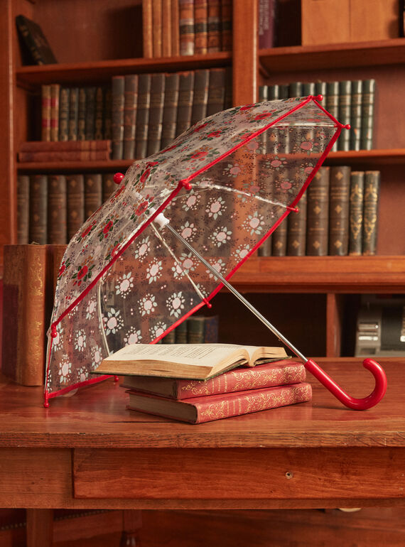 Parapluie Transparent LOPLUETTE / 24H4PFL1PUI961