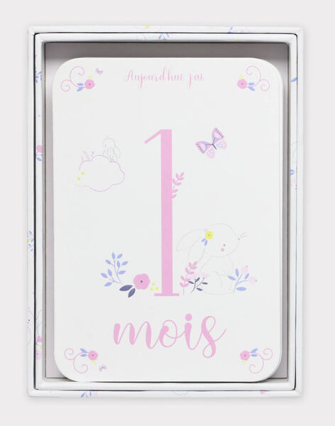 12 Cartes Etapes Premiere Annee Bebe Fille Cadeaux De Naissance Sergentmajor