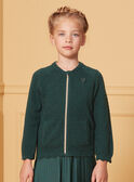 Gilet en maille  vert LIRETTE 3 / 24H2PF93CARG618